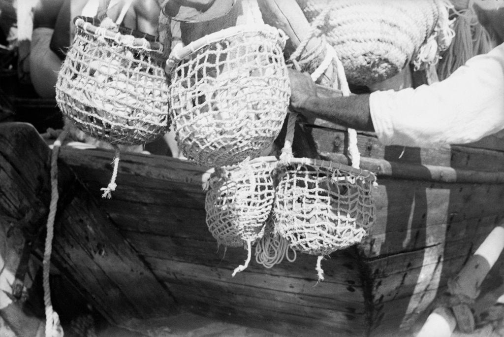 Detail of Divers' baskets filled with shells by Alan Villiers