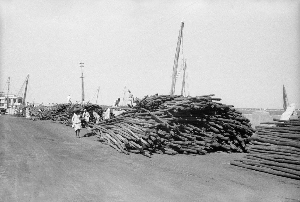 Detail of The Manama waterfront was soon lined with stacks of Rufiji and Lamu poles by Alan Villiers