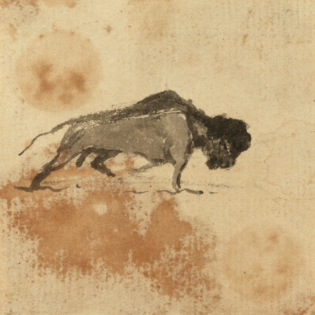 Detail of Sketch of a bison by Gabriel Bray