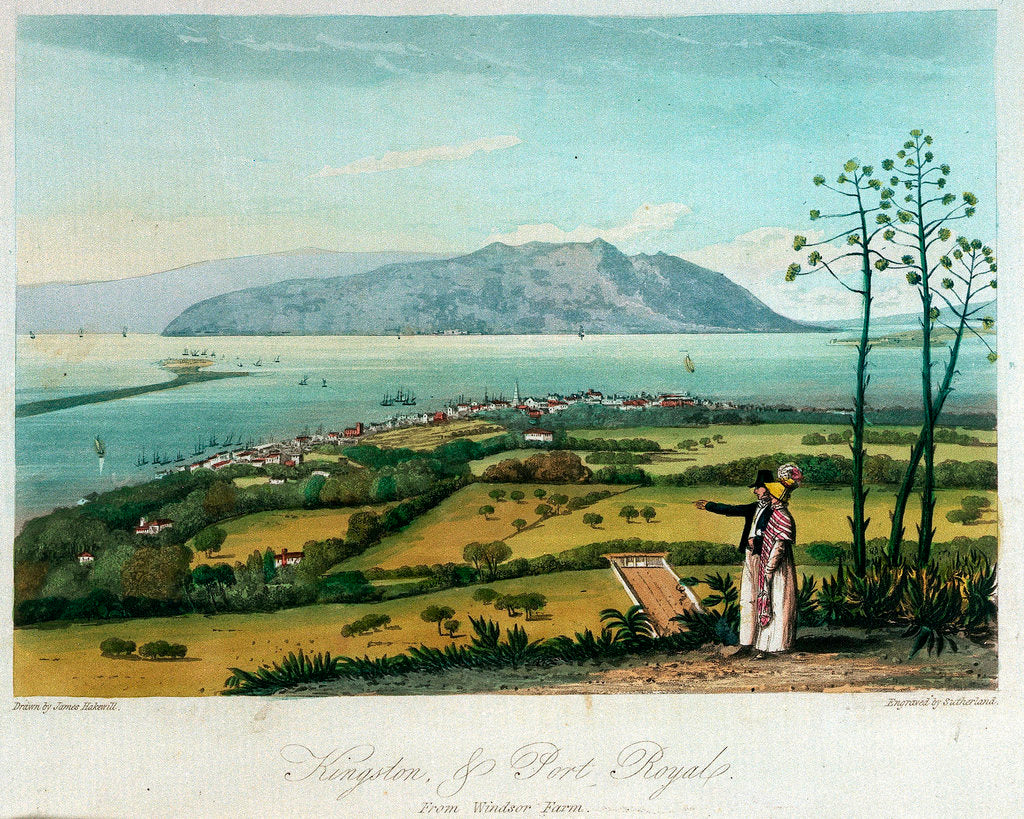 Detail of Kingston, and Port Royal from Windsor Farm by James Hakewill