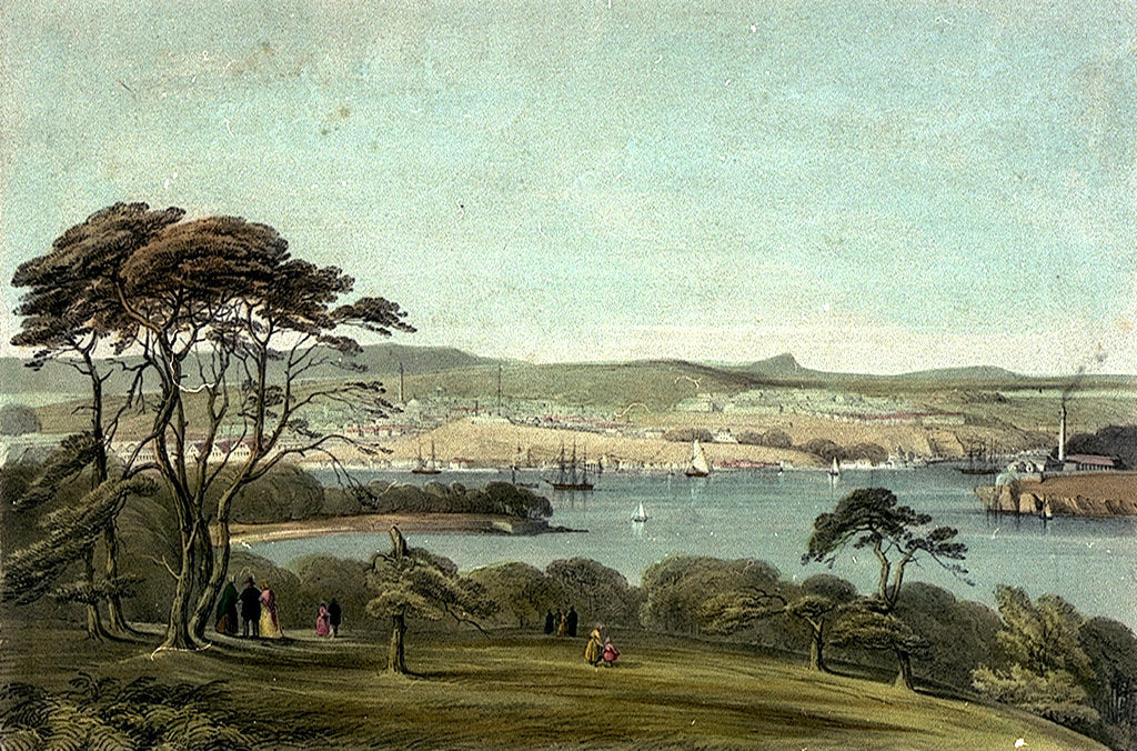 Detail of Devonport from Mount Edgcumbe by Phillip Mitchell