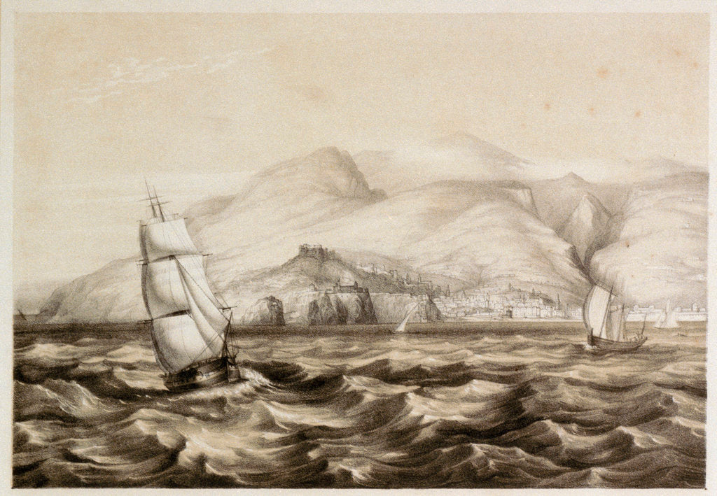 Detail of Madeira by unknown
