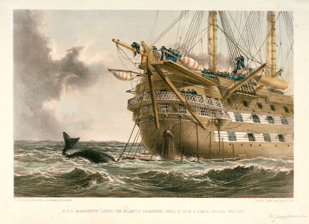 Detail of HMS 'Agamemnon' laying the Atlantic telegraph cable in 1858: a whale crosses the line by R. Dudley