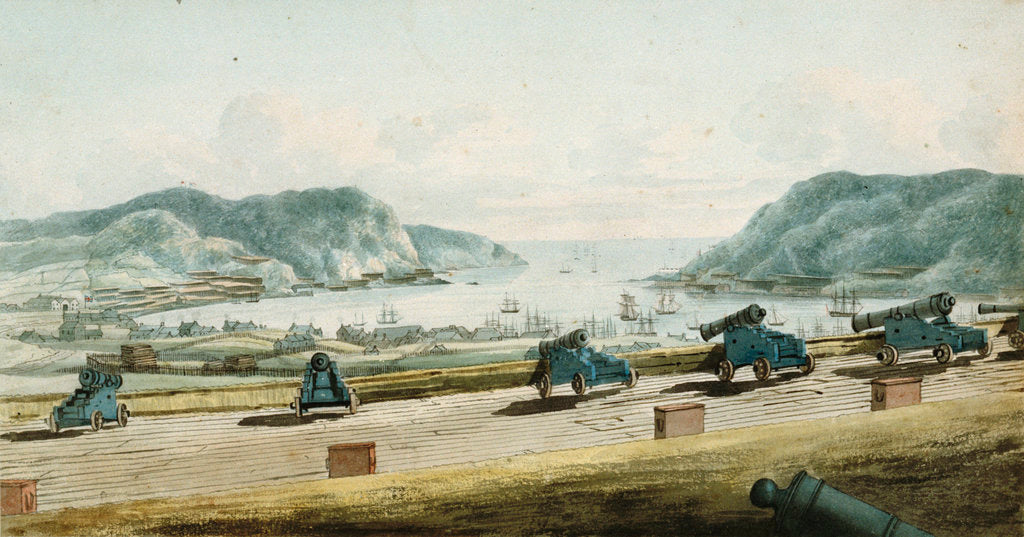 Detail of View of St. John's, Newfoundland from Fort Townsend by George Bulteel Fisher