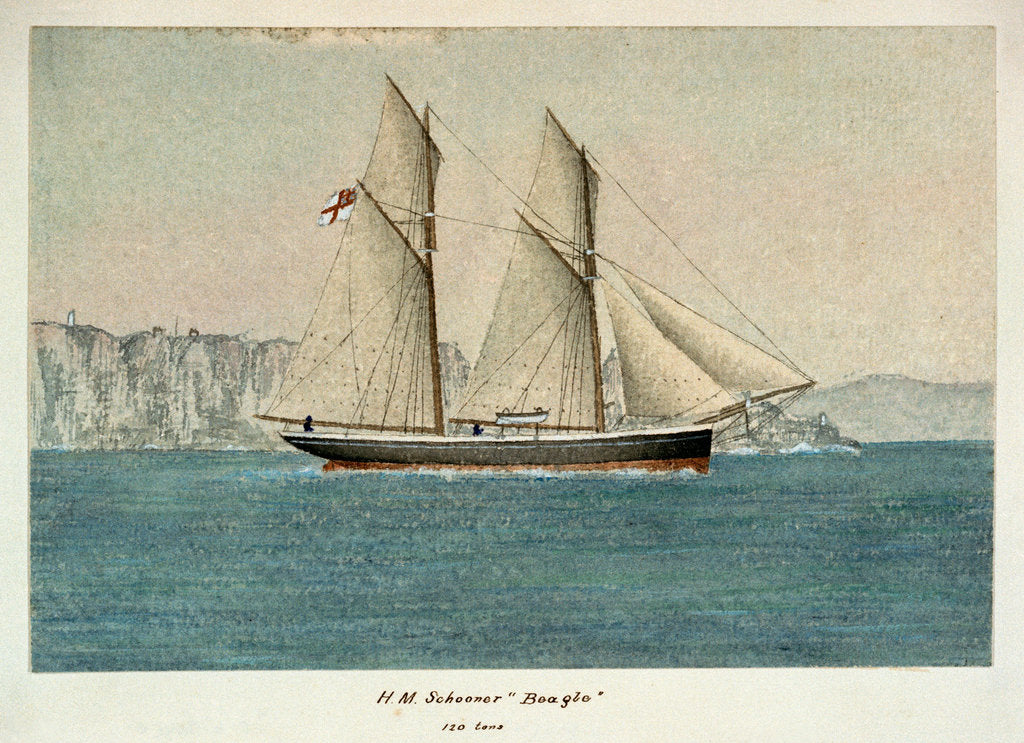Detail of HM Schooner 'Beagle', 120 tons by Lieutenant Francis H. Boyer