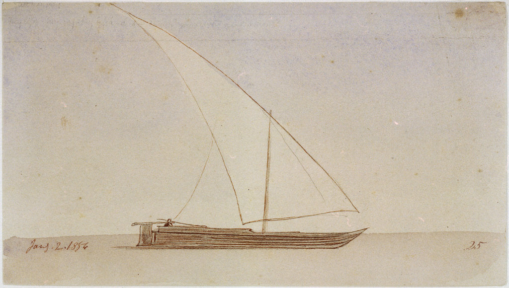 Detail of Study of a gyassis by Edward Lear