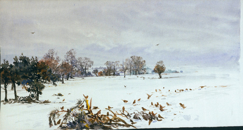 Detail of A landscape under snow with a flock of feeding birds in the foreground by William Lionel Wyllie