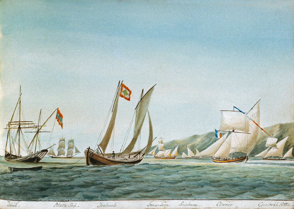 Detail of Sketch of various sorts of vessels in the Adriatic, including a zebeck [xebec], trabacolo [trabaccolo], a French courier and a gunboat settee by William Innes Pocock