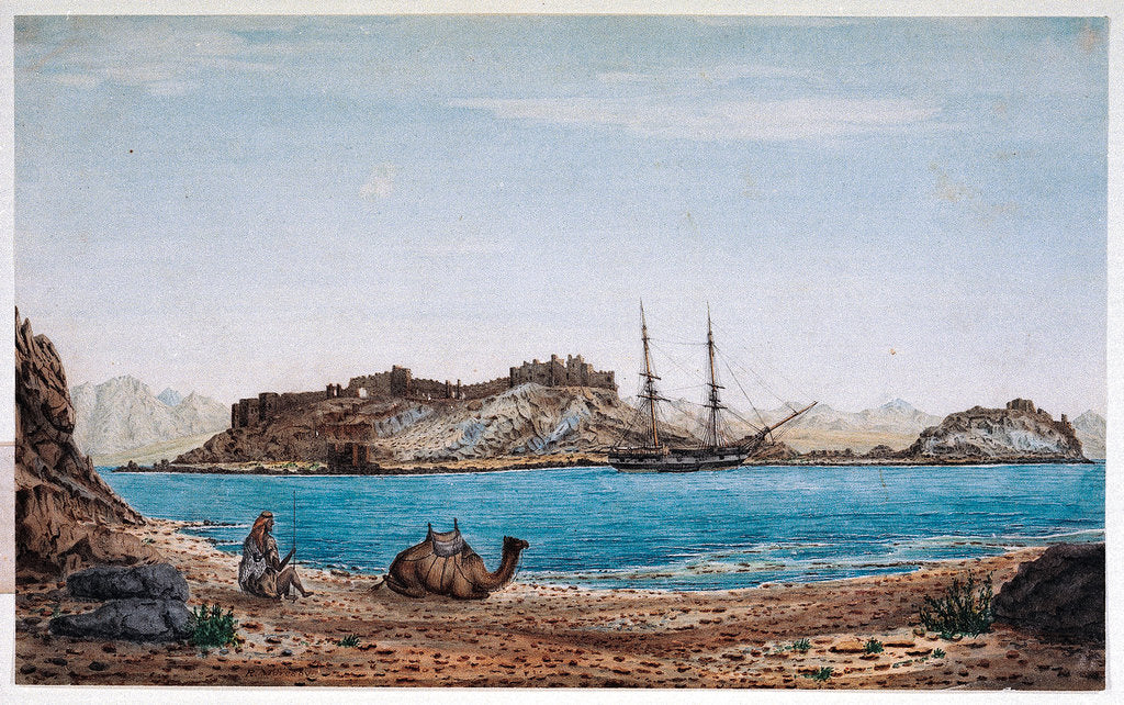 Detail of Island of Faroun near the head of the Sea of Akabah.... by Robert Moresby