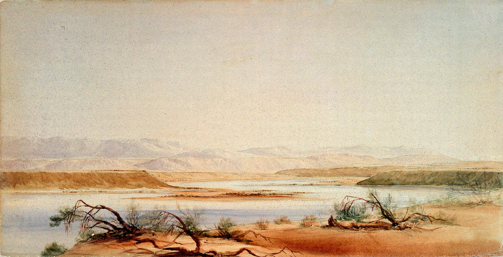 Detail of Santa Cruz River and distant view of the Andes, from the 1878 'Beagle' voyage by Conrad Martens