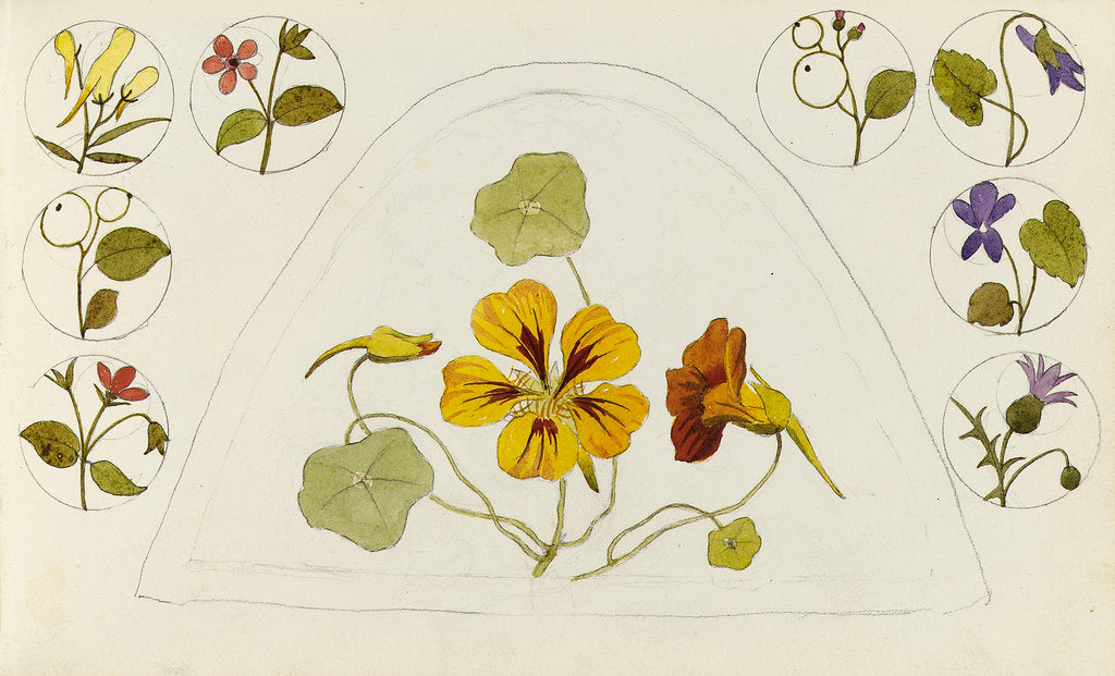 Detail of Designs with nasturtiums and other flowers by Rosa Brett