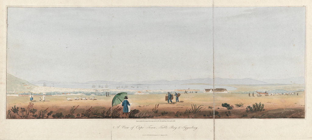 Detail of A view of Cape Town, Table Bay & Tygerberg by J.W. Burchell