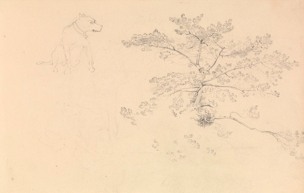 Detail of Study of a dog wearing collar and of tree branches by John Christian Schetky