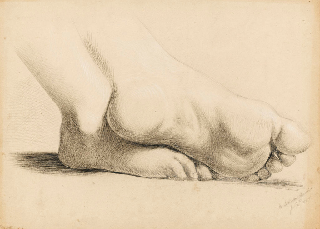 Detail of Study of a pair of feet crossed at the ankles by Margaret Louisa Herschel