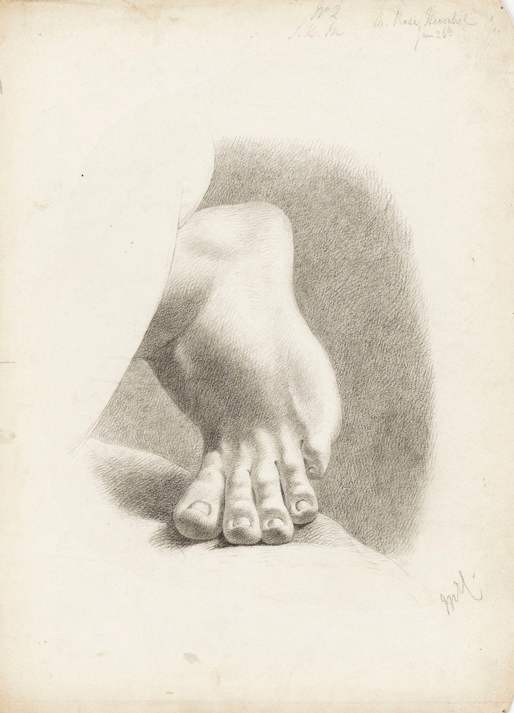 Detail of Study of a foot with toes bent by Matilda Rose Herschel