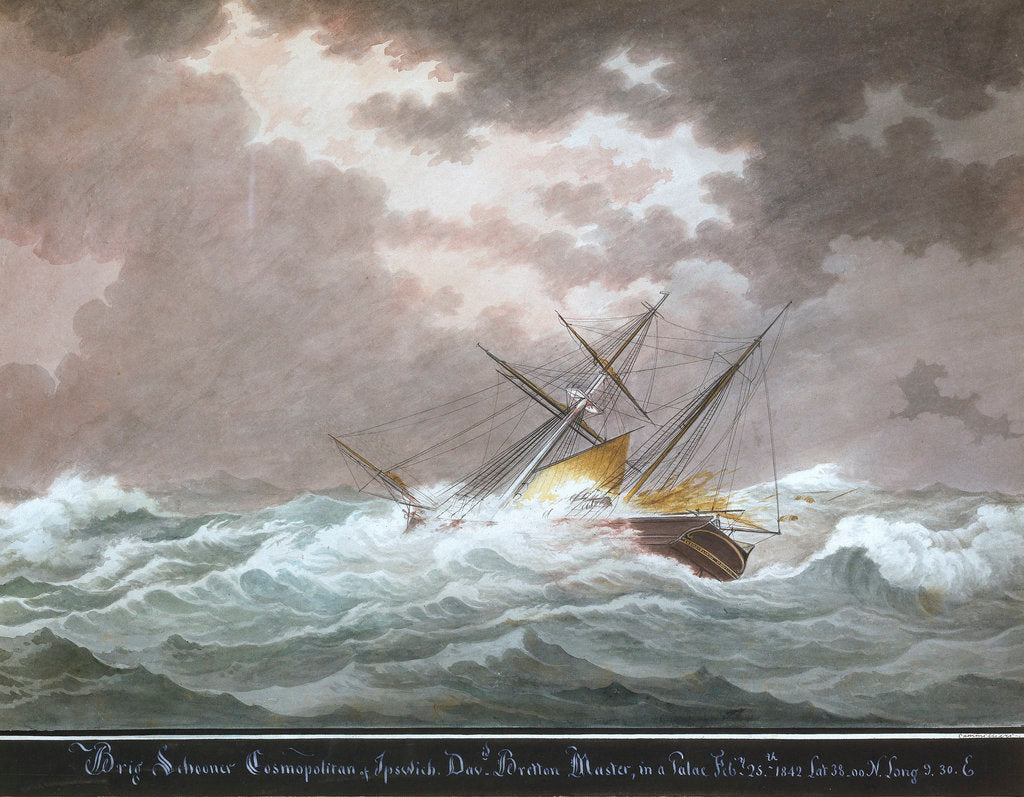 Detail of Brig schooner 'Cosmopolitan' of Ipswich by Nicholas Cammillieri