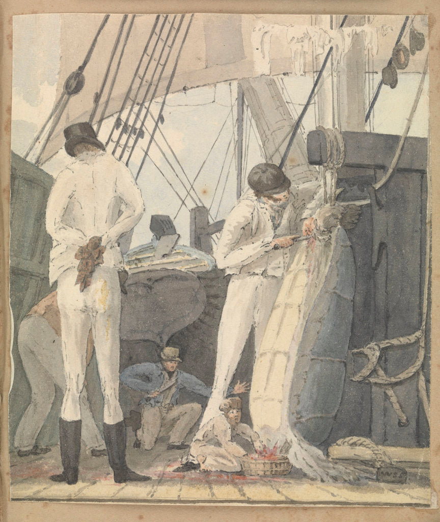 Detail of A deck scene with four men and a boy cutting open a turtle by Robert Streatfeild