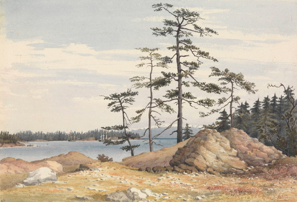 Detail of Esquimalt Harbour, Vancouver's Island, June 28th 1851 [Canada] by Edward Gennys Fanshawe