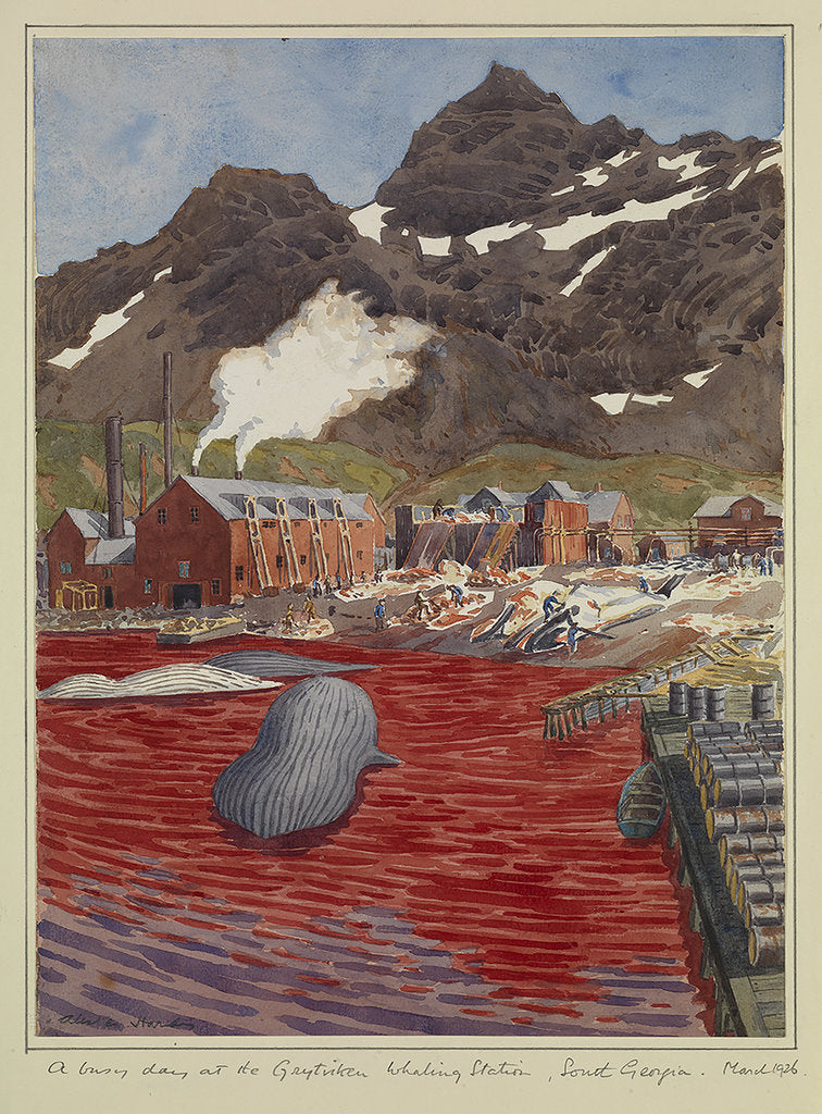 Detail of A busy day at Grytviken whaling station, South Georgia, March 1926 by Sir Alister Hardy