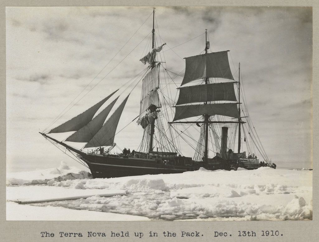 Detail of The 'Terra Nova' (1884) held up in the pack by Herbert George Ponting