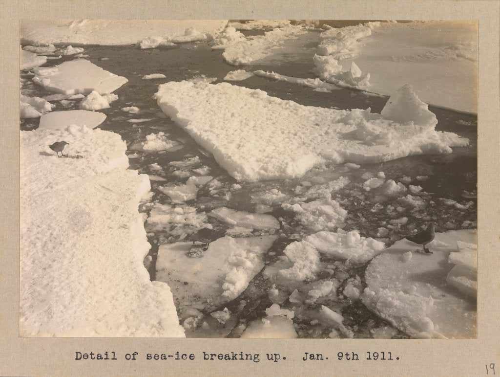 Detail of Detail of the sea-ice breaking up by Herbert George Ponting