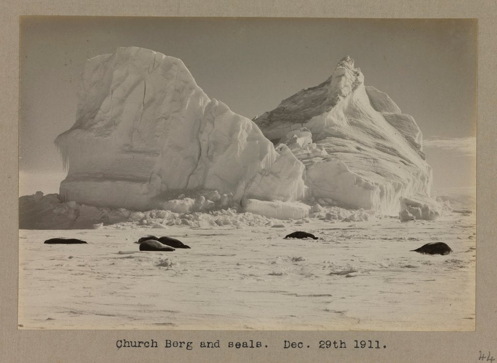 Detail of Church Berg and seals by Herbert George Ponting