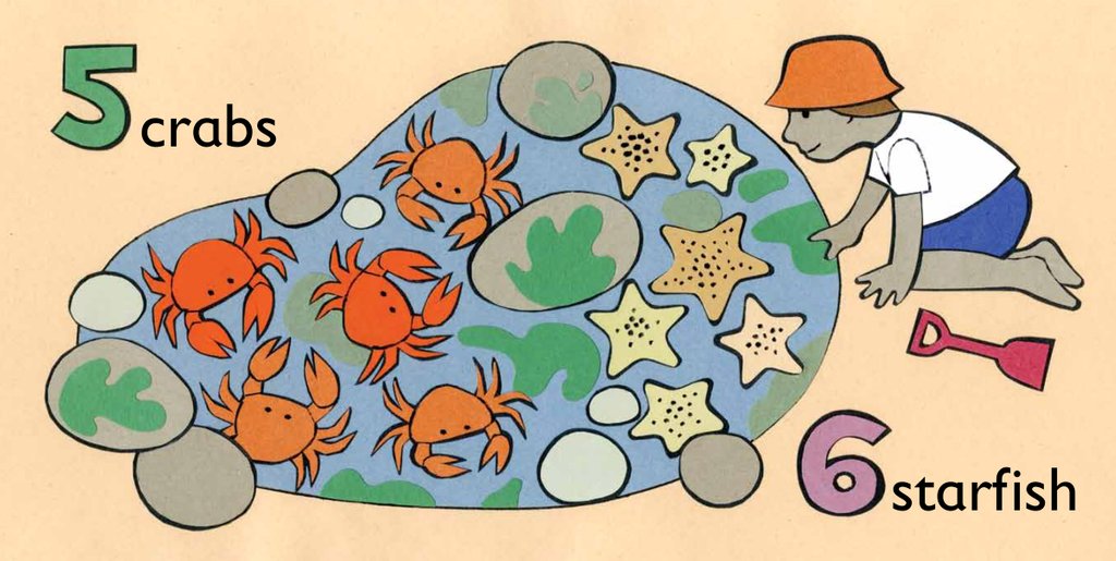 Detail of 5 crabs and 6 starfish children graphic by Anonymous